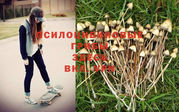 гидропоника Бронницы