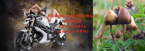 mdpv Бугульма