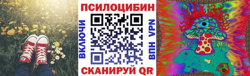Псилоцибиновые грибы Psilocybine cubensis  Купить закладки  Дальнегорск 